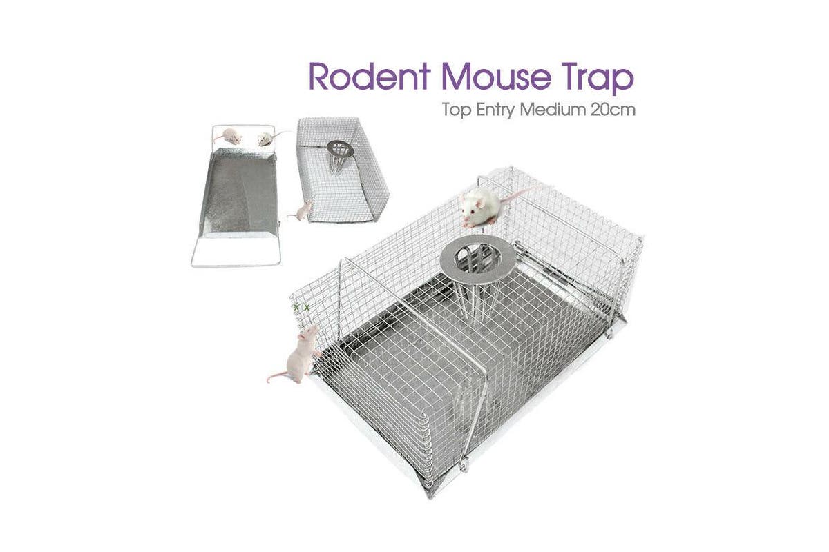 Rodent Mouse Trap ·Top Entry Mouse Trap Catch Rat Trap Catch Humane Rat Cage 20.5x13x9cm