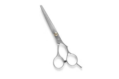 2 X 6 Inch Professional Hair Cutting Thinning Scissors Salon Shears Hairdressing Set