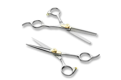 2 X 6 Inch Professional Hair Cutting Thinning Scissors Salon Shears Hairdressing Set