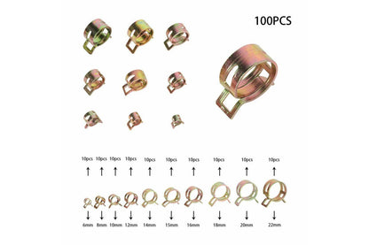 100pcs Steel Spring Clip Hose Clamps 6-22mm Adjustable Range Worm Gear Stainless