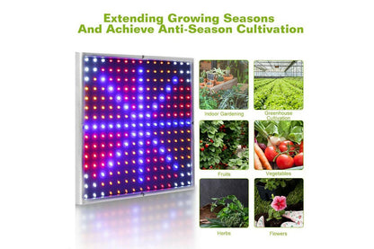 225LED 2000W Grow Light Hydroponic Kits Growing Plant Veg Flower Indoor Lamp AU