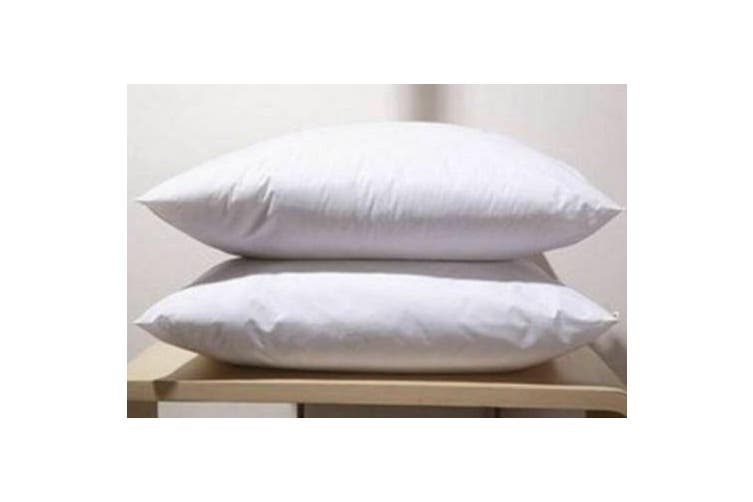 2PCS 45x45cm Pillow Memory Resilient Cushion Inserts Polyester Filling