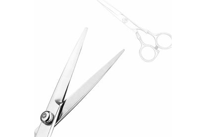 2 X 6 Inch Professional Hair Cutting Thinning Scissors Salon Shears Hairdressing Set