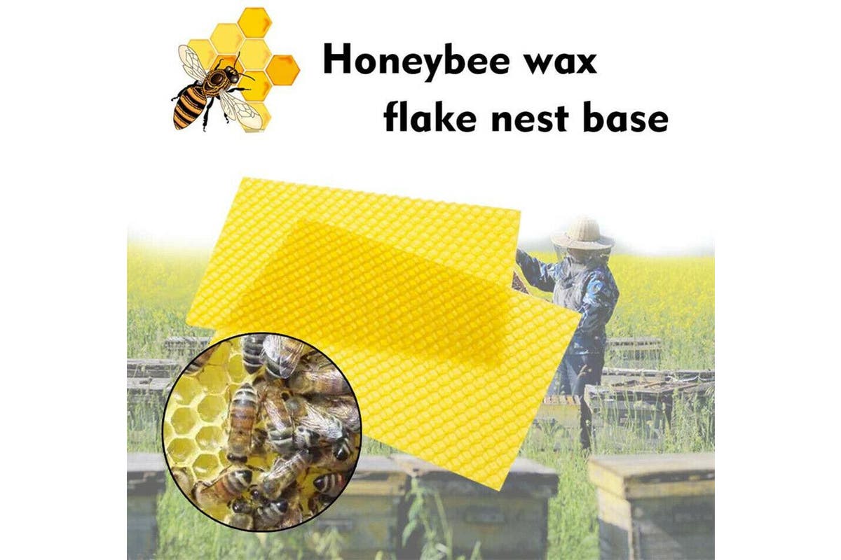 Honeycomb Foundation Sheet Wax Frames Beekeeping Honey Bee Hive Equipment 30PCS