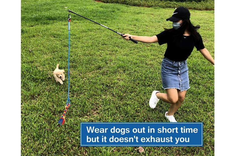 Outdoor Play Fun Interactive Dog Flirt Pole Extendable Teaser Wand Tug Toy Rope