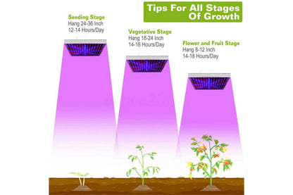 225LED 2000W Grow Light Hydroponic Kits Growing Plant Veg Flower Indoor Lamp AU