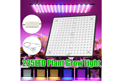 225LED 2000W Grow Light Hydroponic Kits Growing Plant Veg Flower Indoor Lamp AU