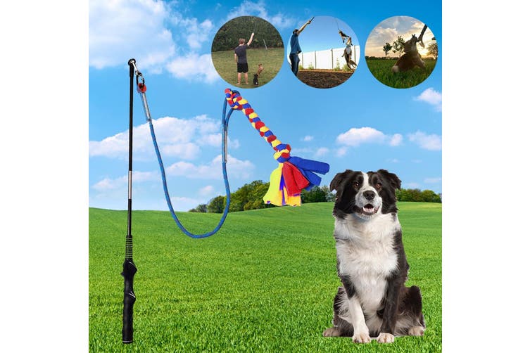 Outdoor Play Fun Interactive Dog Flirt Pole Extendable Teaser Wand Tug Toy Rope