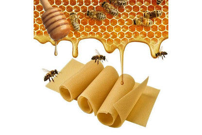 Honeycomb Foundation Sheet Wax Frames Beekeeping Honey Bee Hive Equipment 30PCS