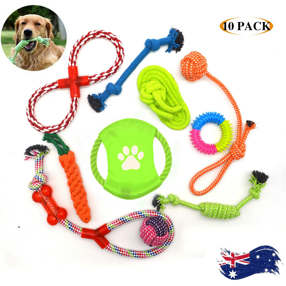 10pcs Indoor Outdoor Rope Interactive Dog Toys Training Toy Bite Teeth Cleaner