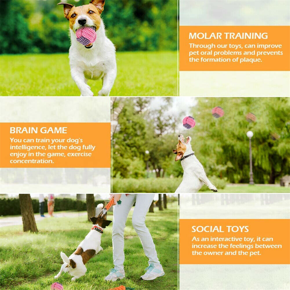 10pcs Indoor Outdoor Rope Interactive Dog Toys Training Toy Bite Teeth Cleaner