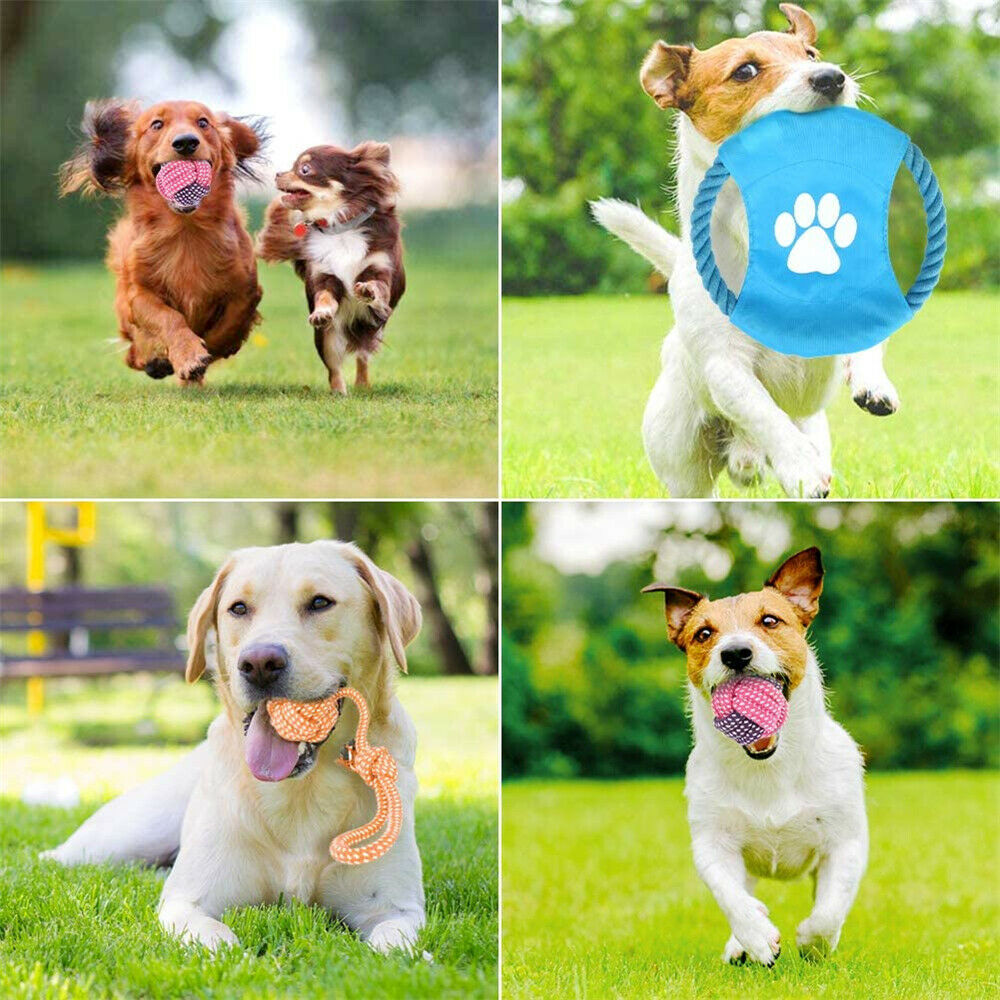 10pcs Indoor Outdoor Rope Interactive Dog Toys Training Toy Bite Teeth Cleaner